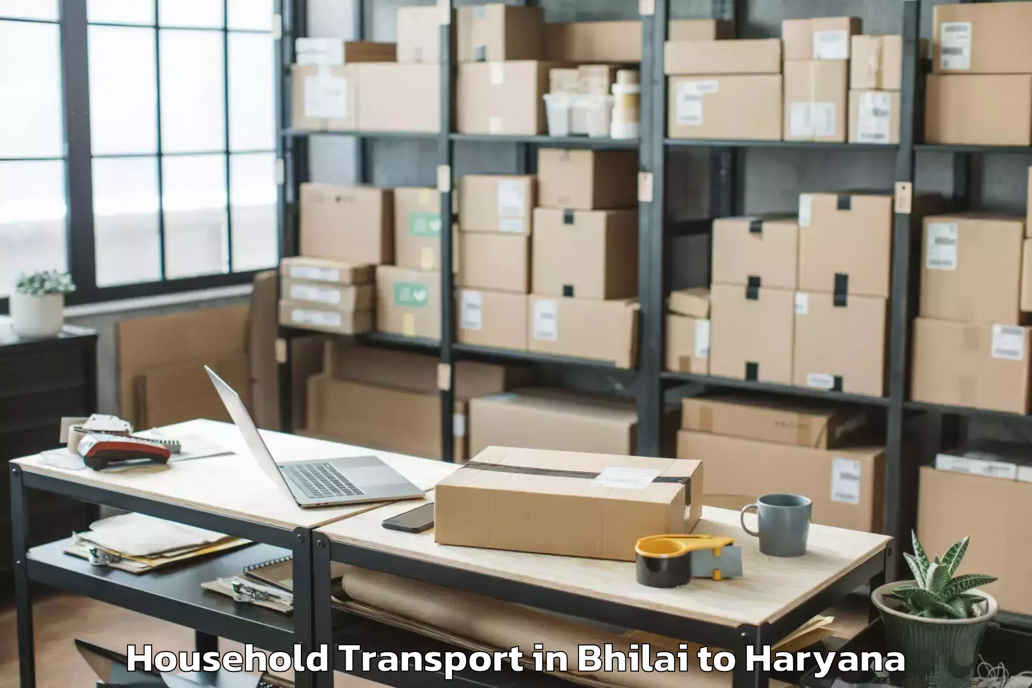 Easy Bhilai to Jind Household Transport Booking